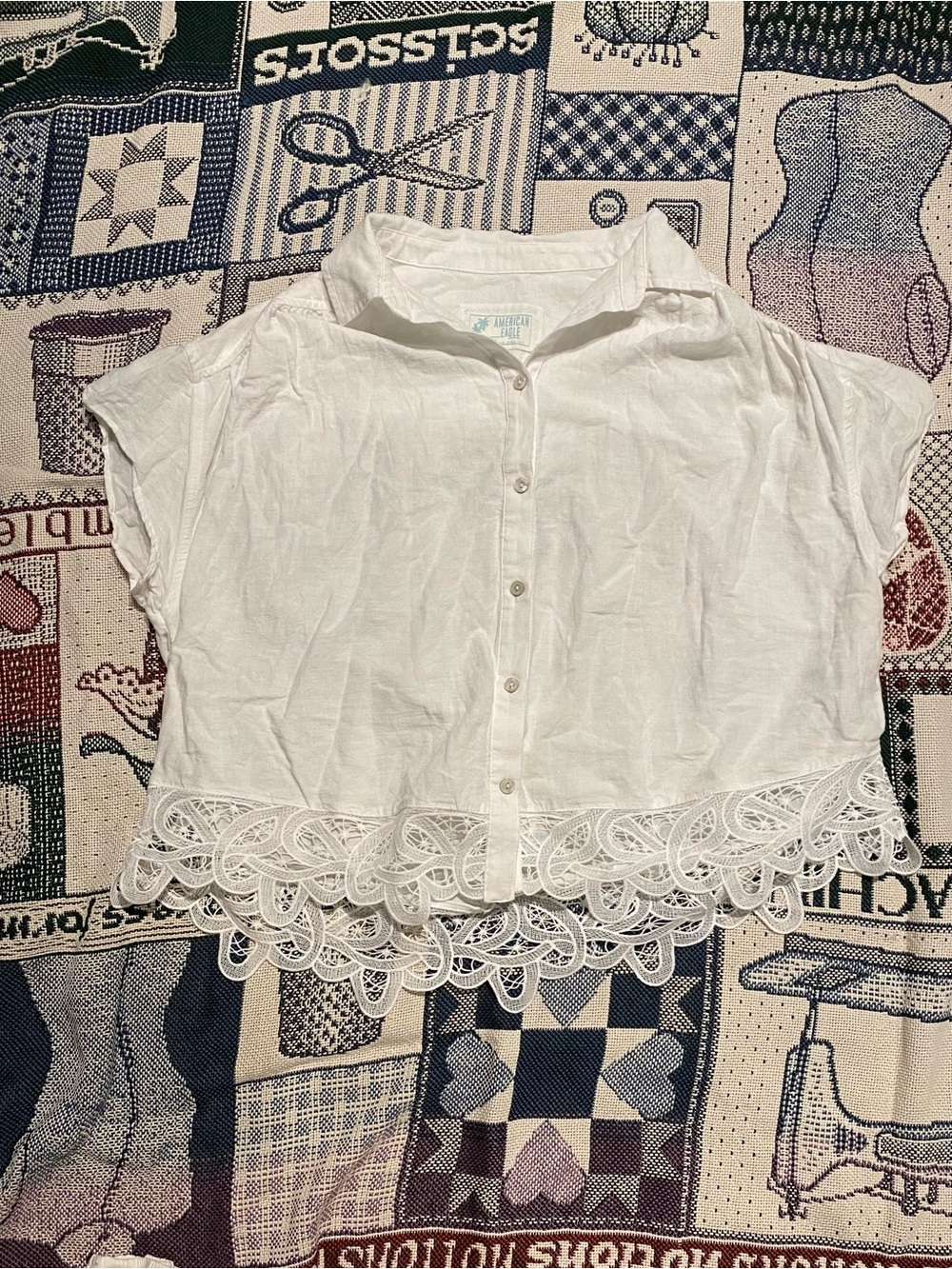American Eagle Outfitters White Lace-Hem Button Down Crop Top